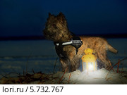 Ночной дозор. На страже порядка (2014 год). Редакционное фото, фотограф Елена Кутепова / Фотобанк Лори