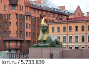 Петербургский сфинкс (2009 год). Стоковое фото, фотограф Нина Лопатина / Фотобанк Лори