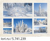 Зимний коллаж. Стоковое фото, фотограф Александр Агафонов / Фотобанк Лори