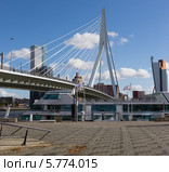 Мост Эразма (Erasmusbrug) — вантовый мост через реку Маас в центре Роттердама, Голландия (2012 год). Редакционное фото, фотограф Александр Фрейдин / Фотобанк Лори