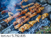 Шашлык из свинины и курицы на углях. Стоковое фото, фотограф Emelinna / Фотобанк Лори