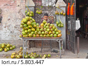 Продажа кокосов на улице в Ахмедабаде (2014 год). Редакционное фото, фотограф Вячеслав Беляев / Фотобанк Лори