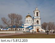 Воронеж Покровский кафедральный собор (2014 год). Редакционное фото, фотограф Алексей Шаповалов (Стерх) / Фотобанк Лори