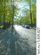 Дорога с брусчатым покрытием (2014 год). Стоковое фото, фотограф Svet / Фотобанк Лори