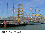 Морская регата SCF Black Sea Tall Ships Regatta 2014, парусники Mircea (Румыния) и Kaliakra (Болгария), порт Новороссийск. Редакционное фото, фотограф Игорь Архипов / Фотобанк Лори