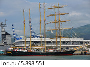 Международная парусная регата "SCF Black Sea Tall Ships Regatta 2014", участник регаты баркентина "KALIAKRA", Болгария, порт Новороссийск. Редакционное фото, фотограф Игорь Архипов / Фотобанк Лори