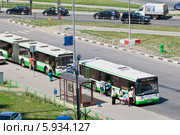 Два городских автобуса  Мосгортранса на остановке. Пассажиры входят в переднюю дверь (2014 год). Редакционное фото, фотограф Lora / Фотобанк Лори