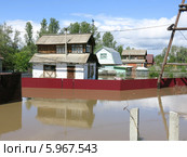 Паводок на Алтае. Уровень реки воды достиг максимума 711 см. Бийск. Алтайский край (01.06.2014) Стоковое фото, фотограф Chere / Фотобанк Лори