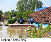 Паводок на Алтае. Уровень реки воды достиг максимума 711 см. Бийск. Алтайский край (01.06.2014) Редакционное фото, фотограф Chere / Фотобанк Лори