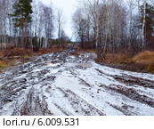 Разбитая лесовозами дорога в осеннем лесу. Стоковое фото, фотограф Евгений Ткачёв / Фотобанк Лори