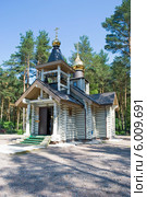 Кладбищенская церковь в Рюмках. Ленинградская область (2014 год). Стоковое фото, фотограф Александр Щепин / Фотобанк Лори