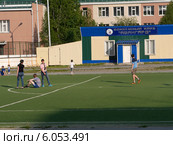 Хоккейный клуб Авангард в г. Пыть-Ях (ХМАО, Югра) (2014 год). Редакционное фото, фотограф Максим Гулячик / Фотобанк Лори
