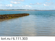 Пляж Саттон пригород (Дублина) в Ирландии (2014 год). Стоковое фото, фотограф Татьяна Кахилл / Фотобанк Лори