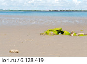 Пляж Саттон, полуостров Хоут, Ирландия (2014 год). Стоковое фото, фотограф Татьяна Кахилл / Фотобанк Лори