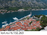 Панорама города Котор. Герцог Нови. Черногория (2014 год). Стоковое фото, фотограф ирина реброва / Фотобанк Лори