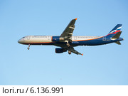 Самолет Airbus A321 авиакомпании "Аэрофлот" заходит на посадку в аэропорту Шереметьево (2014 год). Редакционное фото, фотограф Александр Фрейдин / Фотобанк Лори