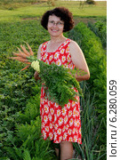 Woman picking vegetables in the garden. Стоковое фото, агентство BE&W Photo / Фотобанк Лори