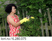 Woman working in the garden. Стоковое фото, агентство BE&W Photo / Фотобанк Лори