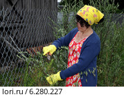 Woman working in the garden. Стоковое фото, агентство BE&W Photo / Фотобанк Лори