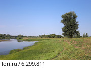 Река Ахтуба летним утром, Астраханская область. Стоковое фото, фотограф Алексей Гусев / Фотобанк Лори