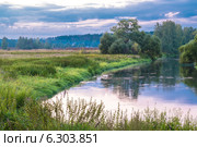 Природа Красноармейска, Московская область, река Воря, левый берег (2014 год). Стоковое фото, фотограф Колесникова Алёна Валерьевна / Фотобанк Лори