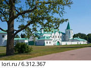 Государева ратная палата. Пушкин (2014 год). Редакционное фото, фотограф Александр Щепин / Фотобанк Лори