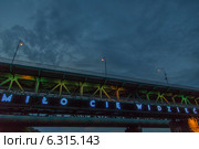 Night illumination on the Gdaсski Bridge. Редакционное фото, агентство BE&W Photo / Фотобанк Лори