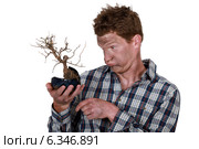Electrocuted man holding a plant. Стоковое фото, фотограф Phovoir Images / Фотобанк Лори