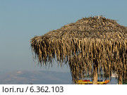 Пляжные зонтики у моря. Стоковое фото, фотограф Мальцев Артур / Фотобанк Лори
