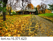 Осенняя природа, старый деревянный дом. Стоковое фото, фотограф ElenArt / Фотобанк Лори