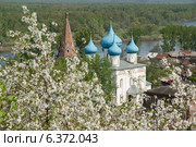 Гороховец. Благовещенский собор среди цветущих яблонь. Стоковое фото, фотограф Александр Антонников / Фотобанк Лори