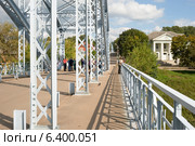 Конструкции моста Белелюбского. Боровичи (2014 год). Редакционное фото, фотограф Александр Щепин / Фотобанк Лори