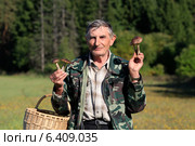 Счастливый пожилой грибник с корзиной и грибами на фоне леса. Стоковое фото, фотограф Яна Королёва / Фотобанк Лори