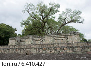 Ruins at an archaeological site, Copan, Copan Ruinas, Copan Department, Honduras (2013 год). Стоковое фото, агентство Ingram Publishing / Фотобанк Лори