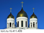 Купола храма Христа Спасителя. Калининград, Россия (2014 год). Стоковое фото, фотограф Сергей Трофименко / Фотобанк Лори
