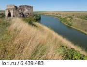 Руины замка 15-17 вв. в окрестностях села Жванец. Река Жванчик (2014 год). Стоковое фото, фотограф Онищенко Виктор / Фотобанк Лори