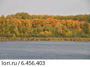 Озеро Сенеж в Солнечногорске осенью (2014 год). Стоковое фото, фотограф lana1501 / Фотобанк Лори