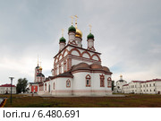 Троице-Сергиев Варницкий  монастырь, вид на соборы в пасмурную погоду (2014 год). Стоковое фото, фотограф Дмитрий Неумоин / Фотобанк Лори