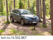 Внедорожник Hyundai Santa Fe посреди леса (2014 год). Редакционное фото, фотограф Сергей Дубров / Фотобанк Лори