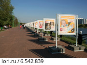 Фотовыставка детей-сирот. Парк 850-летия Москвы (2014 год). Редакционное фото, фотограф Щеголева Ольга / Фотобанк Лори