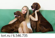 girl sitting with two Irish setters. Стоковое фото, фотограф Яков Филимонов / Фотобанк Лори