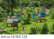 Пасека в предгорьях Кавказа (2014 год). Редакционное фото, фотограф Вячеслав Палес / Фотобанк Лори