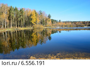 Подмосковье, город Балашиха, озеро Бабошкино (2014 год). Стоковое фото, фотограф Овчинникова Ирина / Фотобанк Лори