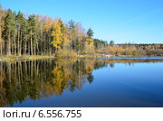 Подмосковье, город Балашиха, озеро Бабошкино (2014 год). Стоковое фото, фотограф Овчинникова Ирина / Фотобанк Лори
