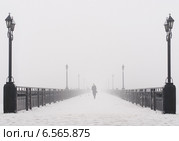 Городской мост в туманный снежный зимний день. Стоковое фото, фотограф Елена Кирьян / Фотобанк Лори