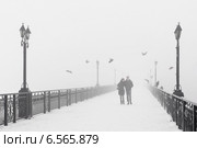 Туман зимним днем. Стоковое фото, фотограф Елена Кирьян / Фотобанк Лори