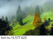 Осенний горный пейзаж в Карпатах. Стоковое фото, фотограф Эдуард Кислинский / Фотобанк Лори