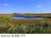 Синяя рябь на голубом озерце. Стоковое фото, фотограф Анатолий Матвейчук / Фотобанк Лори