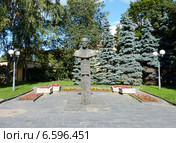 Псков. Памятник академику Исааку Кикоину (2014 год). Редакционное фото, фотограф Наталия Журавлёва / Фотобанк Лори