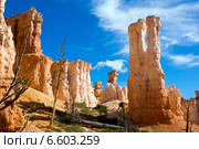 Причудливые скалы в национальном парке Брайс-Каньон (англ. Bryce Canyon National Park) (2014 год). Стоковое фото, фотограф Ирина Кожемякина / Фотобанк Лори